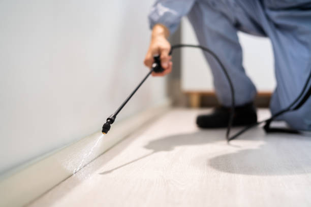 Licensed Pest Control service in Ames, TX - Show Me Pest Control