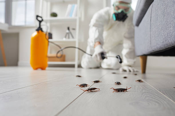 Commercial Kitchen Cockroach Control in Ames